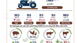 Tình hình kinh tế - xã hội 4 tháng đầu năm