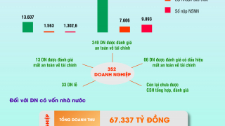 Kết quả giám sát tài chính của các UBND cấp tỉnh, TP trực thuộc Trung Ương năm 2018
