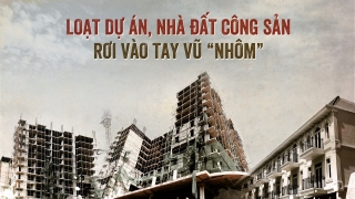 Vũ Nhôm thâu tóm bao nhiêu dự án nhà đất công sản tại Đà Nẵng