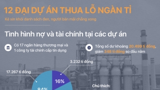 Toàn cảnh 12 đại dự án thua lỗ của ngành công thương