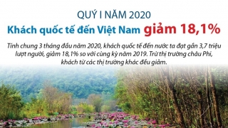 Khách quốc tế đến Việt Nam giảm 18,1% trong quý 1