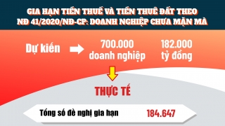 Gia hạn tiền thuế và tiền thuê đất theo NĐ 41/2020/NĐ-CP: Doanh nghiệp chưa mặn mà