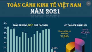 Toàn cảnh nền kinh tế Việt Nam trong năm 2021