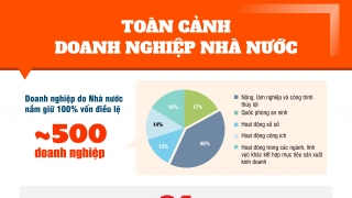 Toàn cảnh doanh nghiệp nhà nước đầu năm 2022