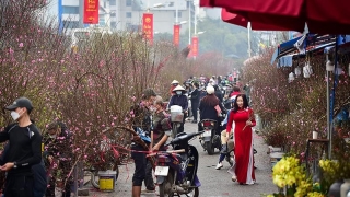 Hà Nội sẽ tổ chức 91 điểm chợ hoa phục vụ Tết Nguyên đán Quý Mão 2023
