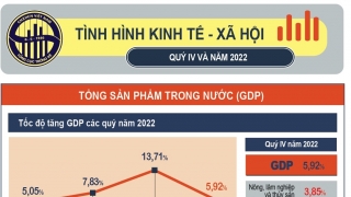 Tình hình kinh tế - xã hội năm 2022