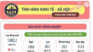 Tình hình kinh tế - xã hội tháng 1/2023