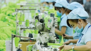 Một số giải pháp thúc đẩy chuyển đổi kép cho doanh nghiệp Việt Nam