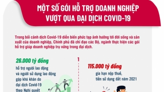 Các gói hỗ trợ doanh nghiệp vượt qua đại dịch Covid-19