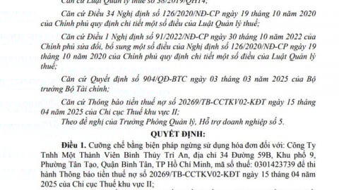 Tp.HCM: Công ty Bình Thủy Trí An bị cưỡng chế ngừng sử dụng hóa đơn do nợ thuế quá hạn