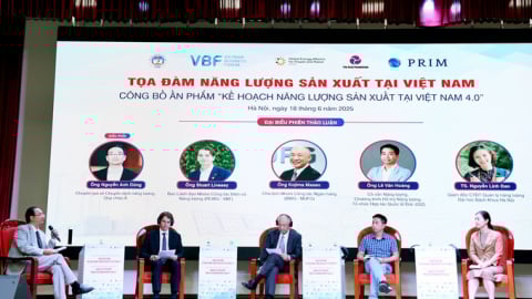 Phát triển năng lượng tái tạo: Đa dạng hóa dòng vốn đầu tư, đảm bảo hài hòa lợi ích