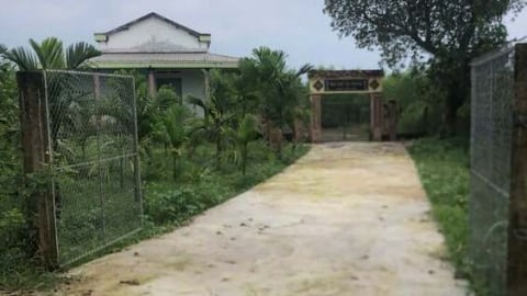 Quảng Ngãi chỉ đạo xử lý vụ chiếm đất, hủy hoại đất đã bị thu hồi sổ đỏ