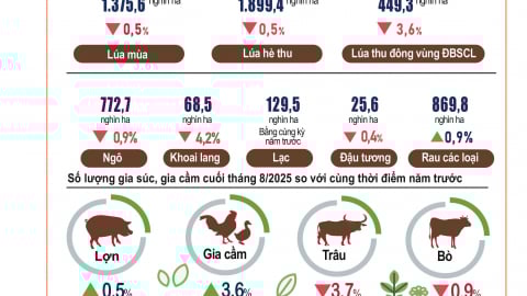 Tổng quan tình hình kinh tế - xã hội 8 tháng