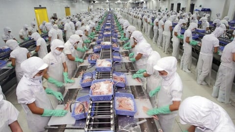 Thủy sản Vĩnh Hoàn bị phạt và truy thu thuế hơn 8 tỷ đồng
