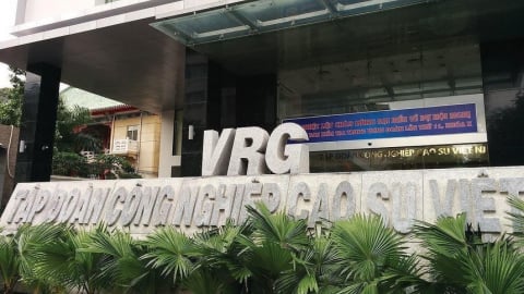 Đầu tư Sài Gòn VRG sắp trả cổ tức bằng cổ phiếu