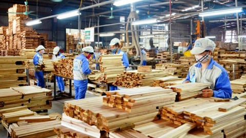 Gần 100 doanh nghiệp xuất khẩu gỗ dán cứng sang Hoa Kỳ bị điều tra kép