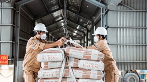 Khai sai thuế, Xi Măng Vicem Hà Tiên bị phạt và truy thu hơn 2,6 tỷ đồng