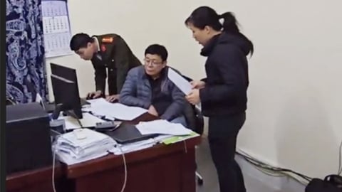 Trốn thuế, một giám đốc người nước ngoài bị khởi tố