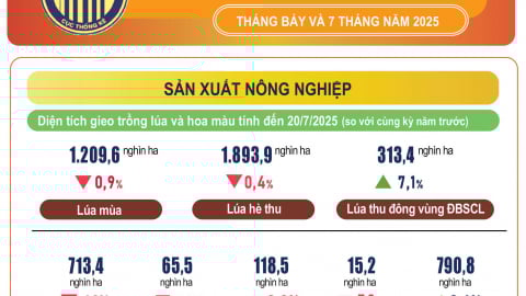 Tình hình kinh tế - xã hội 7 tháng