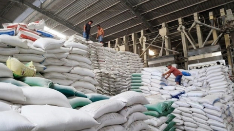 Philippines tạm dừng nhập khẩu gạo, VFA 'cầu cứu' Bộ Công Thương