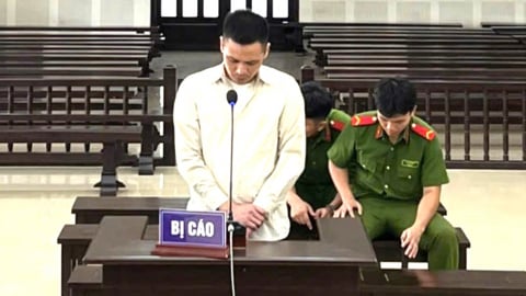 In hơn 420 triệu tiền giả bằng kỹ thuật học trên mạng, thanh niên lãnh 13 năm tù