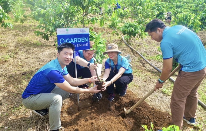 Bảo hiểm số OPES góp phần xây dựng tương lai bền vững từ cây sinh kế