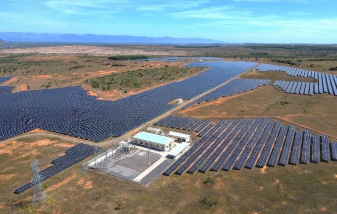 Công ty CRC Solar Cell bị khước từ đề xuất đầu tư dự án điện mặt trời Tam Bố