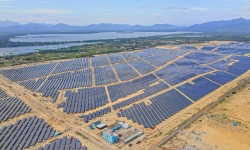 Bình Phước: Công ty CP Năng lượng Lộc Ninh 3 xây dựng Nhà máy điện mặt trời trên đất rừng sản xuất