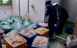 Bắc Giang: Tạm giữ 9,5 tấn thực phẩm đông lạnh không rõ nguồn gốc