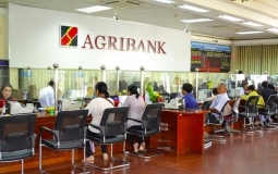 Agribank bị BHXH Hà Nội điểm tên vì nợ hơn 4,4 tỷ đồng tiền bảo hiểm