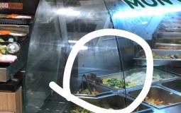Chuột bò tại quầy thức ăn tại AEON MALL Tân Phú: AEON Việt Nam xin lỗi khách hàng