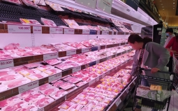 Bộ Công Thương hỗ trợ kết nối nhập khẩu thịt lợn