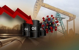 Giá dầu thô bắt đầu tăng nhẹ