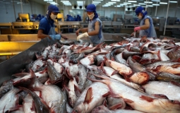 Thủy sản Việt Nam lọt top 3 thế giới về xuất khẩu