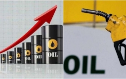 Giá dầu nhích nhẹ, thị trường kỳ vọng kéo dài chuỗi tăng