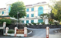 Chi nhánh Công ty Nhẫn tại Lào Cai bị cưỡng chế thuế