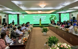 Xây dựng thị trường Carbon tại Việt Nam hướng tới Net Zero 2050