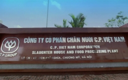 Công ty Cổ phần chăn nuôi C.P Việt Nam nợ 138 tỷ đồng tiền thuế