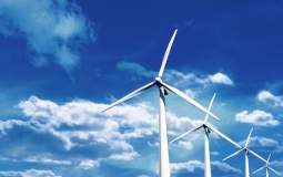 Quảng Trị trình bổ sung 50 dự án điện gió vào Quy hoạch phát triển điện lực