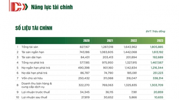 Công ty CP Chương Dương năng lực tài chính hiện như thế nào?