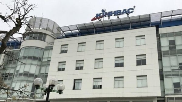 Nhiều doanh nghiệp ngành bất động sản ghi nhận lỗ sâu sau kiểm toán 2024