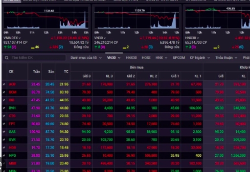 Dòng tiền suy yếu, VN-Index đảo chiều giảm nhẹ