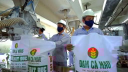Dòng tiền dồi dào, lương hậu hĩnh ở Đạm Cà Mau 