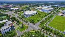 Giảm 30% tiền thuê đất nhà nước