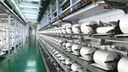 Công ty Sợi Thế Kỷ: Bán cổ phiếu quỹ lệch báo cáo, lãi sau kiểm toán hụt 72% 
