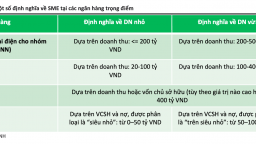 Doanh nghiệp SME và bài toán tín dụng phù hợp