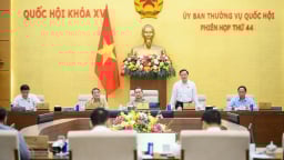 Thu hồi triệt để tài sản, đất đai thất thoát, vi phạm theo kết luận, kiến nghị kiểm toán