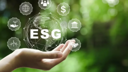 Tác động của môi trường, xã hội và quản trị doanh nghiệp (ESG) đến giá trị doanh nghiệp: Bằng chứng thực nghiệm tại các nước đang phát triển ở khu vực ASEAN