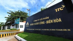 Kỳ vọng vốn của Công ty Thành Thành Công - Biên Hòa qua các chỉ tiêu tài chính