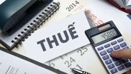 Vì sao doanh nghiệp lớn có ưu đãi thuế quan, tính toán lỗ lãi; hộ kinh doanh nộp thuế theo doanh thu?